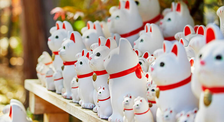 Visita guiada gratuita al Templo del Gato de la Suerte en Tokio