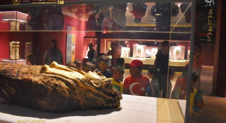 Visita de luxo ao Museu de Hurghada com guia especializado Egito — #15