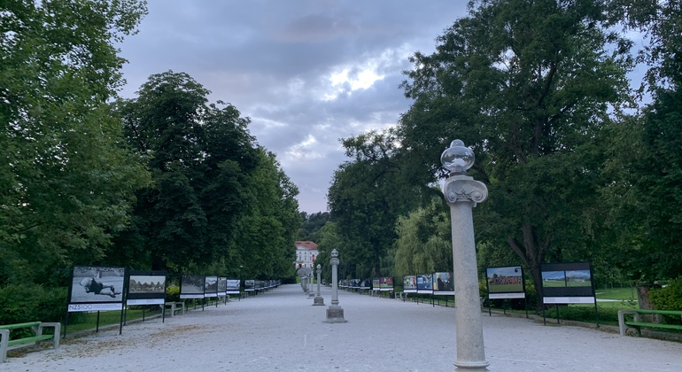 Ljubljana Tour on Bike or E-Scooter Slovenia &mdash; #6