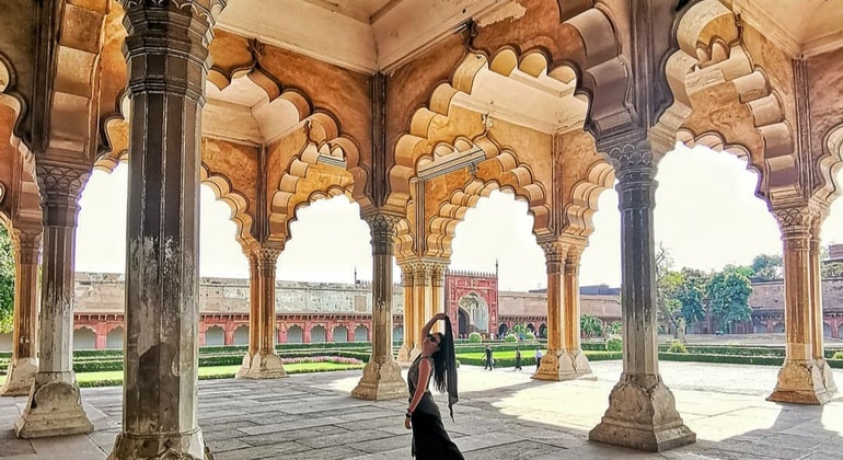 Same Day Tour of Tajmahal India &mdash; #3