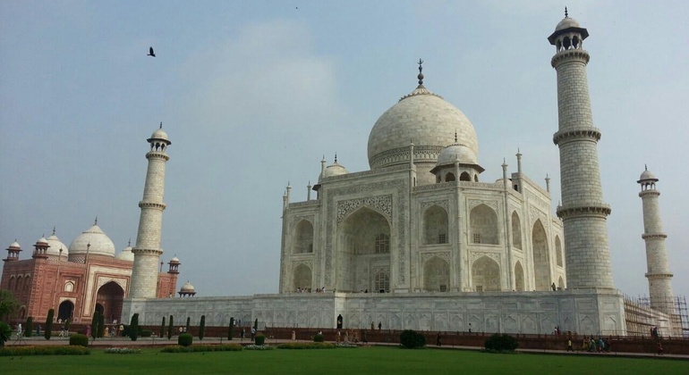 Same Day Tour of Tajmahal India &mdash; #6