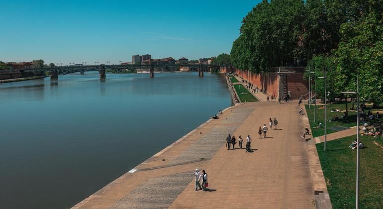 Free Tour of Toulouse: History, Art and Culture