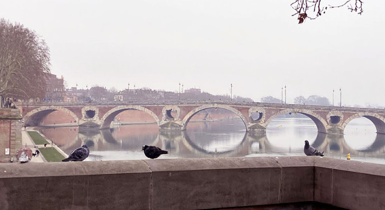 Free Tour por Toulouse: Historia, Arte y Cultura Francia &mdash; #7