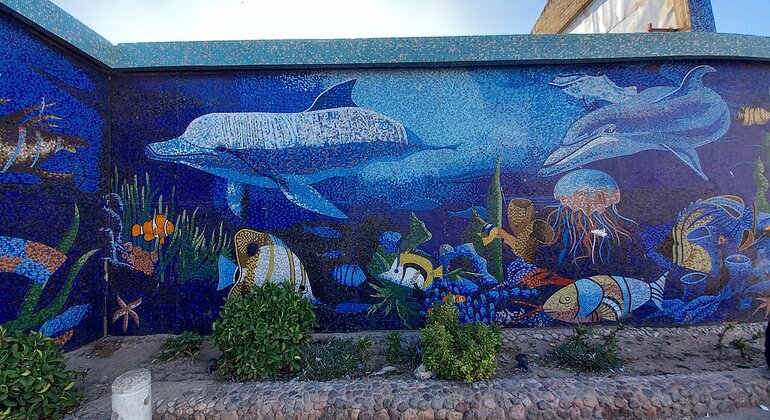 Visita privada à cidade de Hurghada de carro com Marina: Mesquita e Cidade Velha Egito — #6