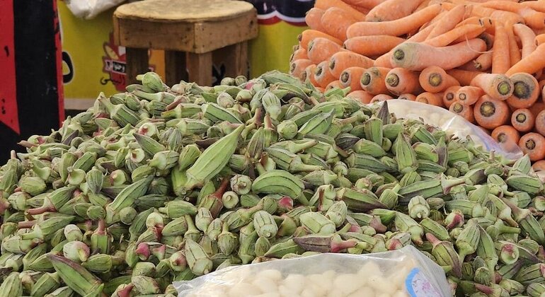 Visita privada à cidade de Hurghada de carro com Marina: Mesquita e Cidade Velha Egito — #13