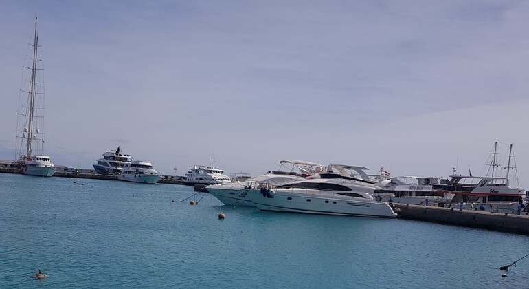 Visita privada à cidade de Hurghada de carro com Marina: Mesquita e Cidade Velha Egito — #30