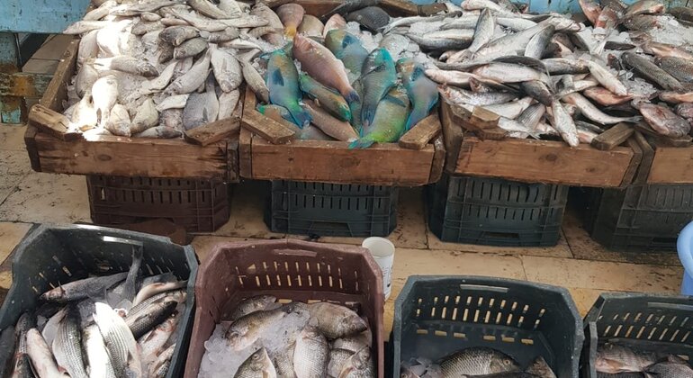 Visita privada à cidade de Hurghada de carro com Marina: Mesquita e Cidade Velha Egito — #34