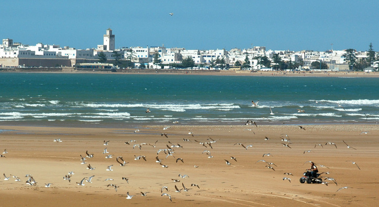 Von Marrakesch nach Essaouira: Geschichte, Kultur und Meer Marokko &mdash; #9