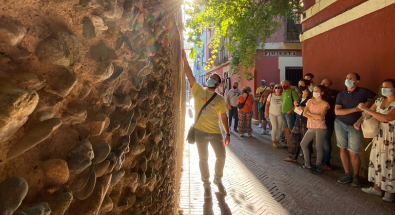 Free Tour Mysteries of Santa Cruz Provided by Sevilla Free Tours