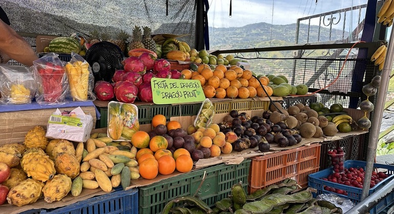 descubre-el-arte-urbano-en-la-comuna-trece-es-15