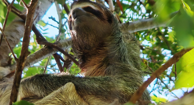 Passeio a pé pelo Parque Nacional Manuel António Costa Rica &mdash; #12