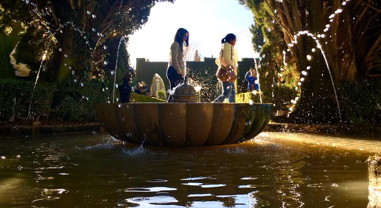 excursion-a-granada-la-alhambra-desde-sevilla-es-5