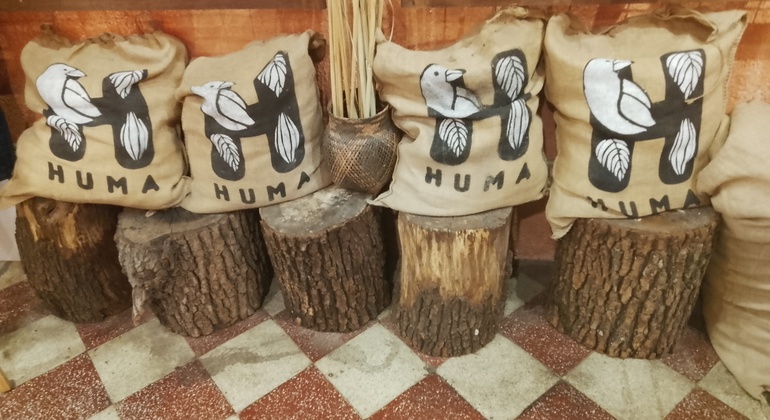 Experiência de chocolate e passeio pelo centro de Quito Equador — #6