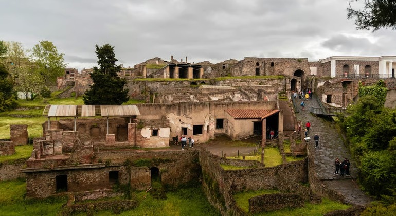 Da Napoli Tour di mezza giornata al Vesuvio Italia — #5