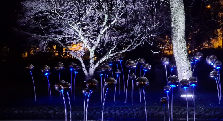 Embrace the Magic: Free Tour Netherlands &mdash; #5