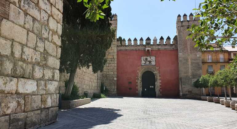 free-walking-tour-first-walk-in-seville-es-2