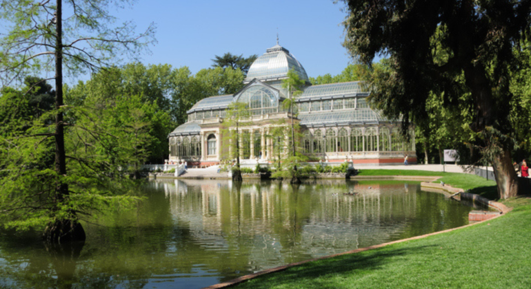 descubre-madrid-a-pie-en-un-recorrido-unico-completo-es-5