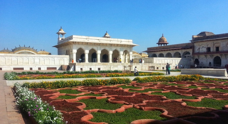 Excursão privada ao Taj Mahal e Agra de carro Índia &mdash; #5