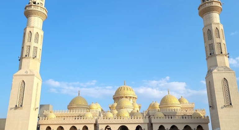 Explore the Fish Market with Lunch or Dinner Egypt — #4