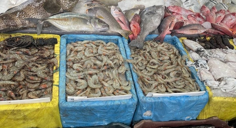 Explore the Fish Market with Lunch or Dinner Egypt — #5