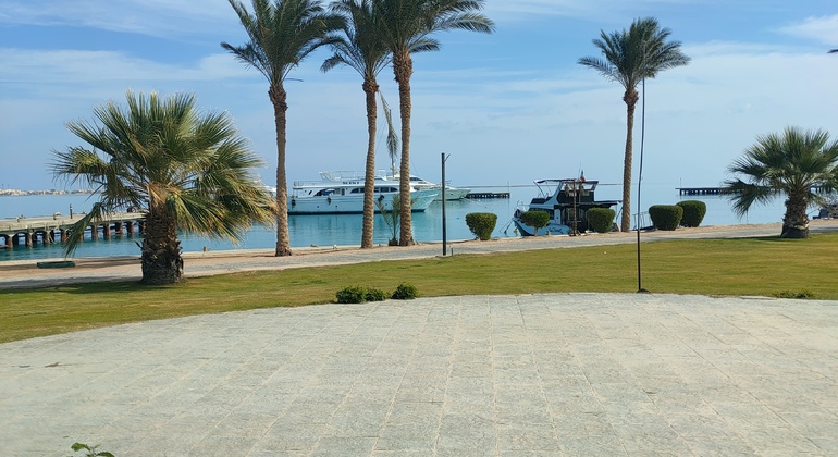Scuba Diving Day Trip