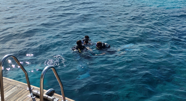 Tagesausflug zum Tauchen Ägypten — #3