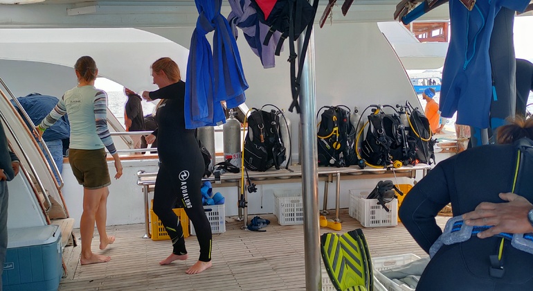 Tagesausflug zum Tauchen Ägypten — #5