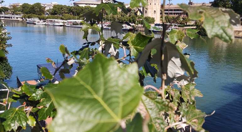 free-walking-tour-around-triana-crossing-the-river-es-5