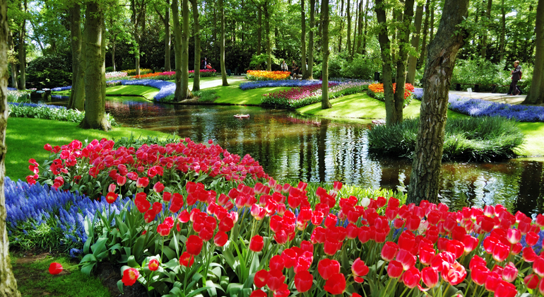 Excursão de um dia aos Jardins de Keukenhof