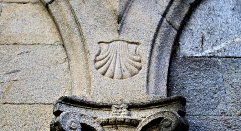 Visite complète de Santiago avec droits d'entrée inclus Espagne — #24