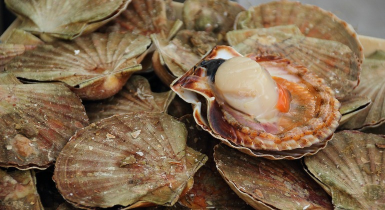 Gastronomic Experience in Santiago