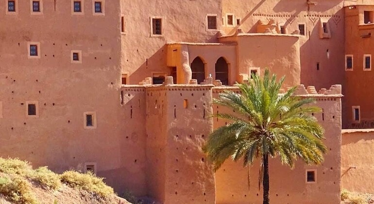 2 dias 1 noite Marraquexe Ait Benhaddou Ouarzazate e Vale das Rosas Marrocos — #9