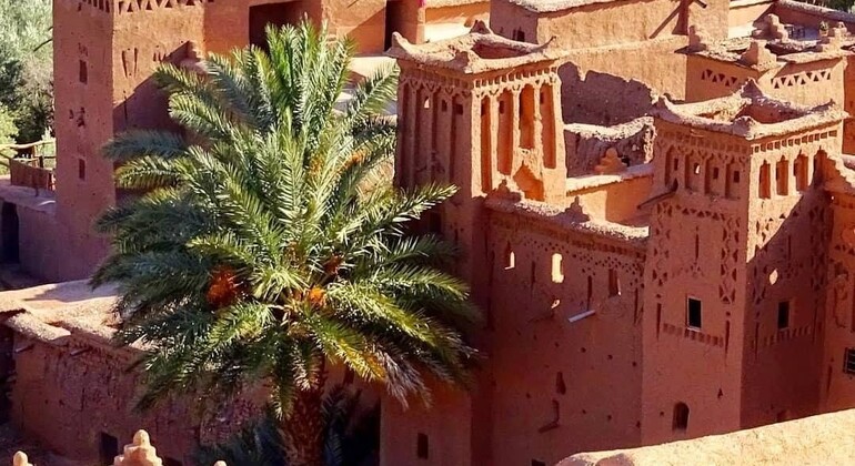 2 dias 1 noite Marraquexe Ait Benhaddou Ouarzazate e Vale das Rosas Marrocos — #10