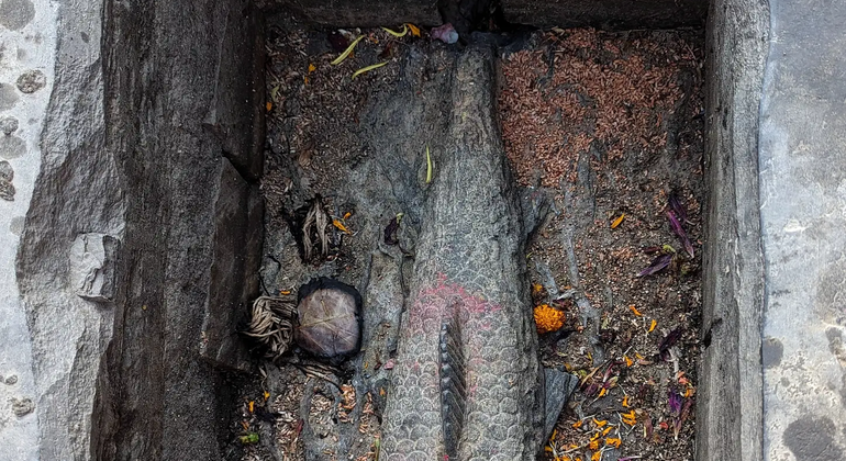 Do bazar ao centro hippie: Tour de rua Ason & Freak Kathmandu Nepal &mdash; #5