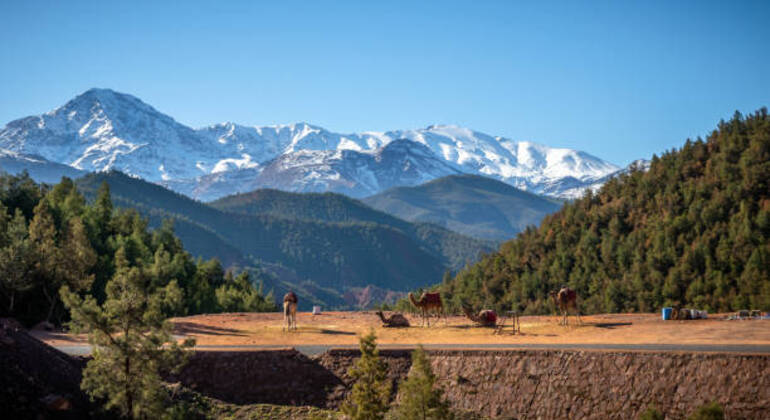 marrakech-ourika-valley-setti-fatma-waterfall-en-11