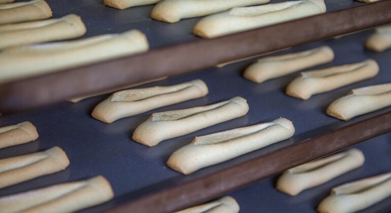 food-tour-with-a-local-expert-in-marseille-en-2