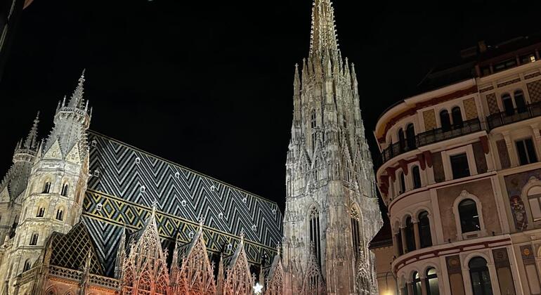 Free Tour Vienna: Paseo por el Centro de Viena