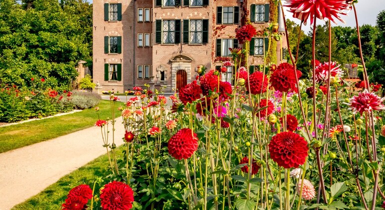 Avventura Floreale a Keukenhof da Amsterdam Paesi Bassi &mdash; #3