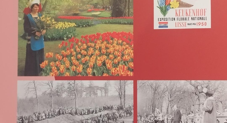 Avventura Floreale a Keukenhof da Amsterdam Paesi Bassi &mdash; #5