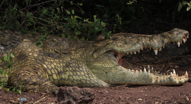 Omo Valley Immersive Tribal Journey Ethiopia — #3