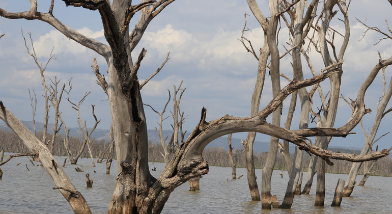 Omo Valley Immersive Tribal Journey Ethiopia — #4