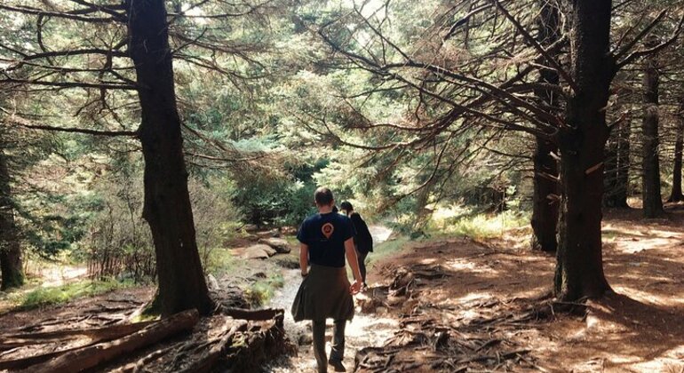 Randonnée gratuite avec vue panoramique sur Barcelone Espagne — #2