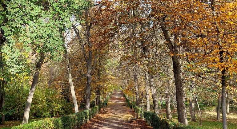 secret-retiro-history-legends-hidden-gems-es-1