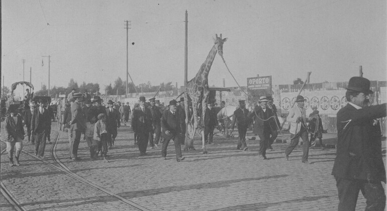Free tour: La Historia Oculta del Ex Zoológico de Buenos Aires Argentina — #3