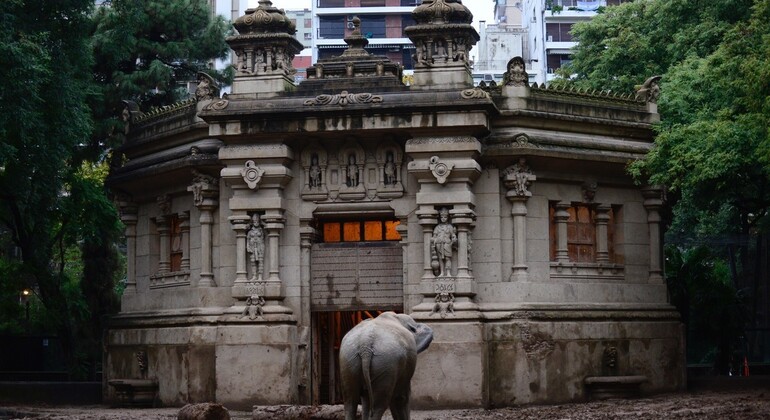 Free tour: La Historia Oculta del Ex Zoológico de Buenos Aires Argentina — #4