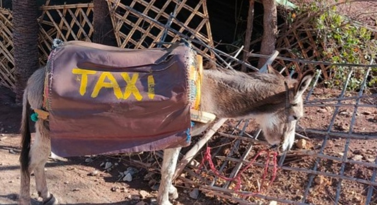 paradise-valley-agadir-tour-es-2