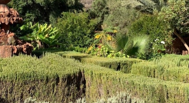 paradise-valley-agadir-tour-es-8