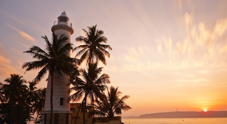 Coastal Ride to Galle Private Tour from Colombo