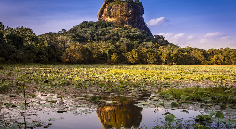 Roca de Sigiriya y Cueva de Dambulla de Colombo Sri Lanka — #3