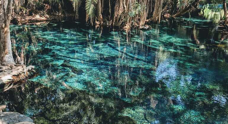 Getaway to Chemka Hot Springs Tanzania — #4